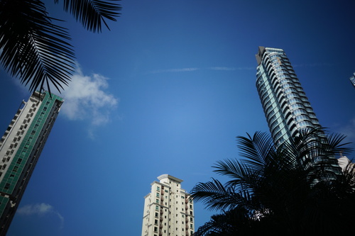e0018143_3231836.jpg
