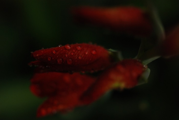 f0229844_2352387.jpg
