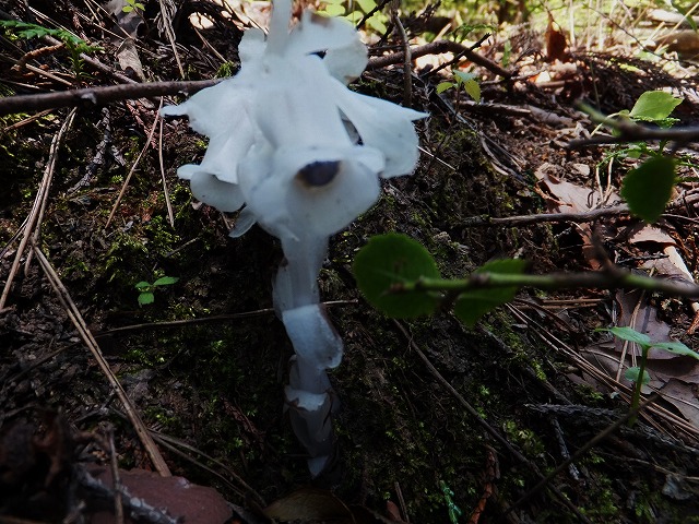 d0048350_19442093.jpg