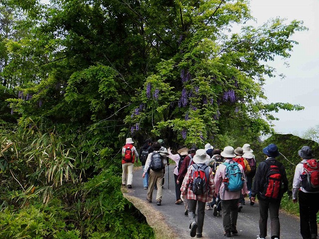 d0048350_2051070.jpg