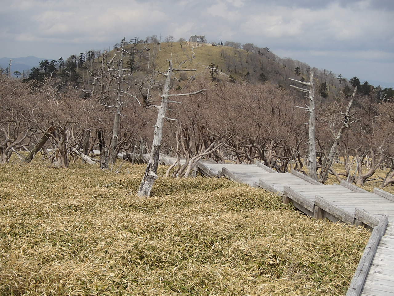b0276758_10213347.jpg