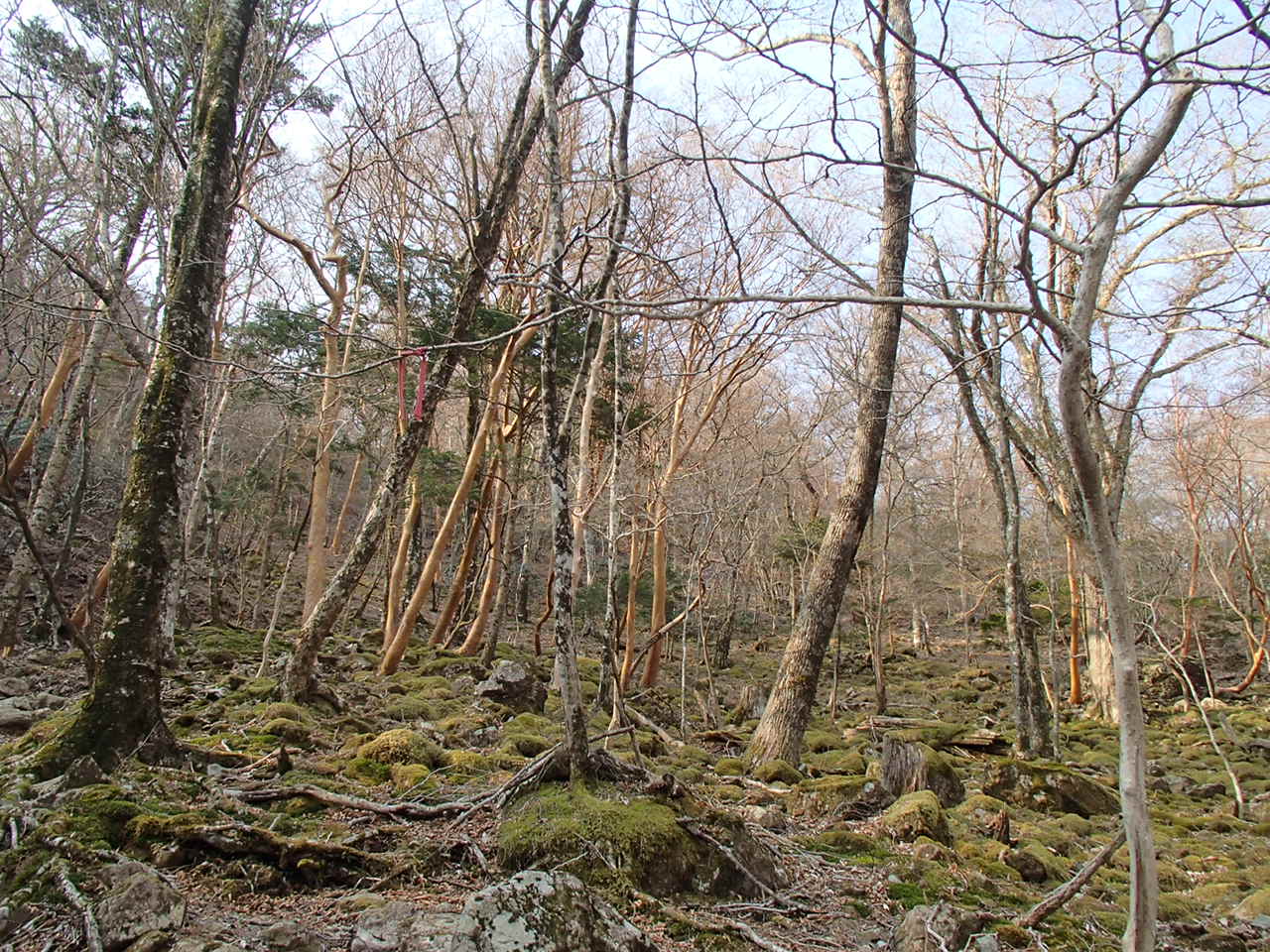 b0276758_1694257.jpg