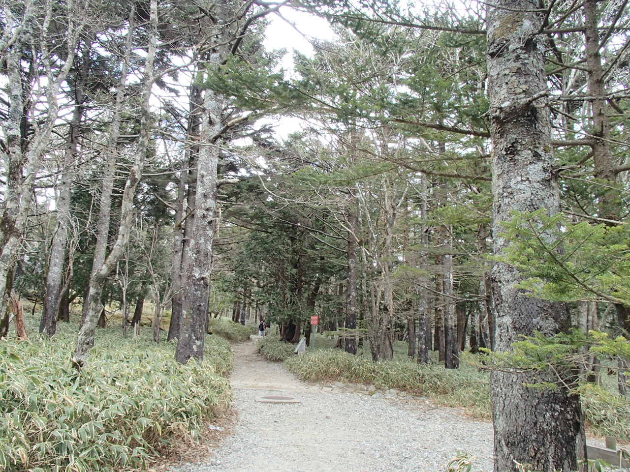 b0276758_9552197.jpg