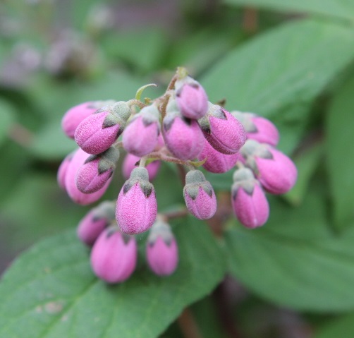 b0228959_1582326.jpg