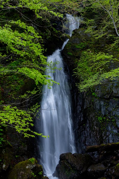 シッツ谷の滝　徳山ダム_c0153969_2035101.jpg