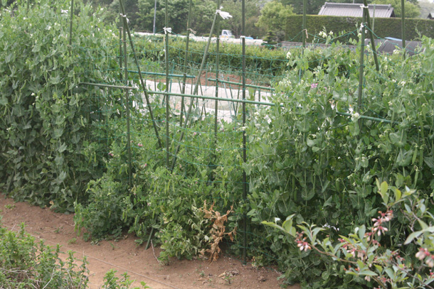 f0097970_22322624.jpg
