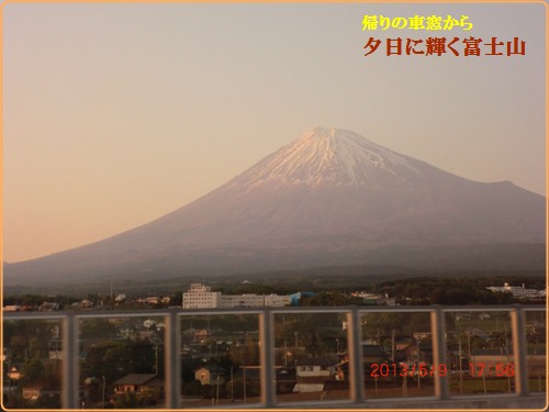 d0007071_903188.jpg