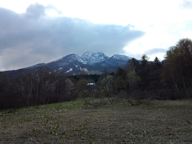 d0237177_2022746.jpg