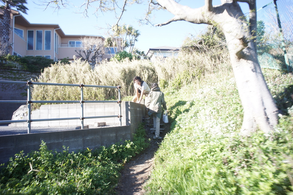 東京日記@ベルリンvol.3 七里ケ浜編。_c0180686_16341624.jpg