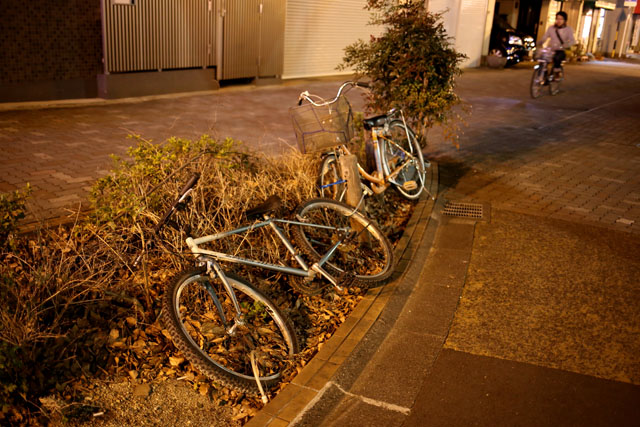 夜の自転車_e0126186_21502749.jpg