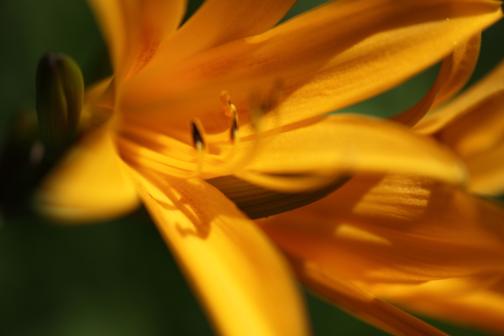 f0164989_930235.jpg