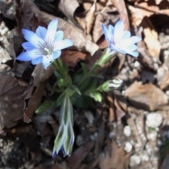 e0271890_10501895.jpg