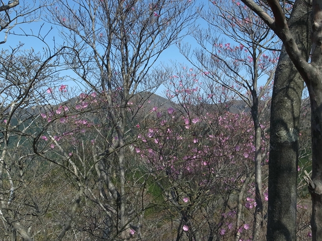 e0271890_9105465.jpg