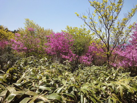 f0013698_6483598.jpg