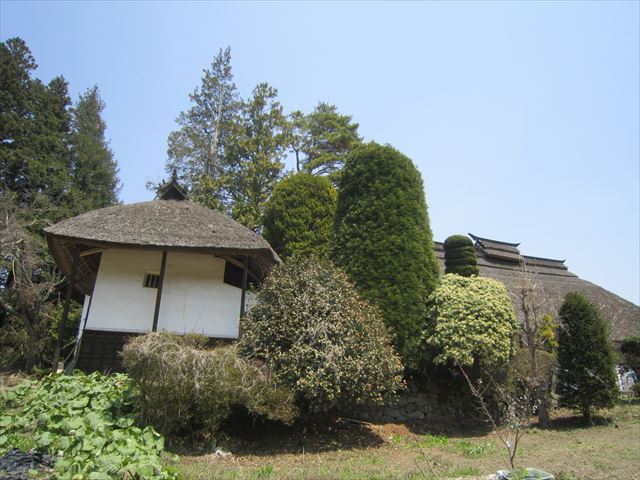 なんだかいいでしょ_f0117498_17395063.jpg