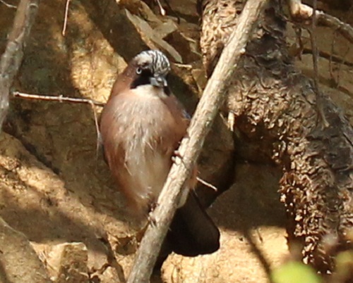 d0177108_0462280.jpg