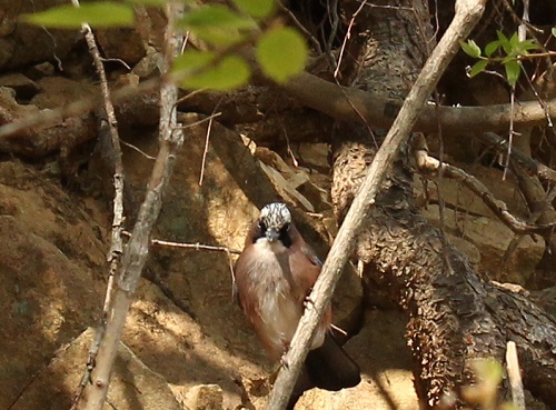 d0177108_046948.jpg