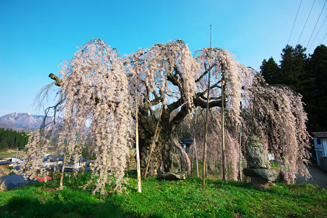 a0263109_12322476.jpg