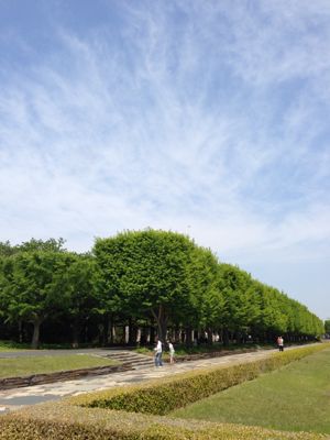 彩り_e0138812_1245614.jpg