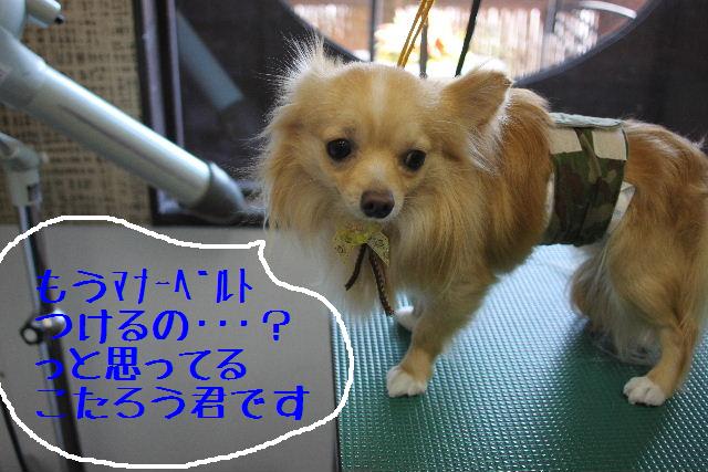 おはよ～ございます！！_b0130018_9461757.jpg