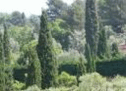 d0174624_8411280.gif