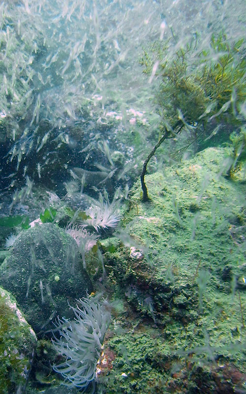 b0044726_23414889.jpg