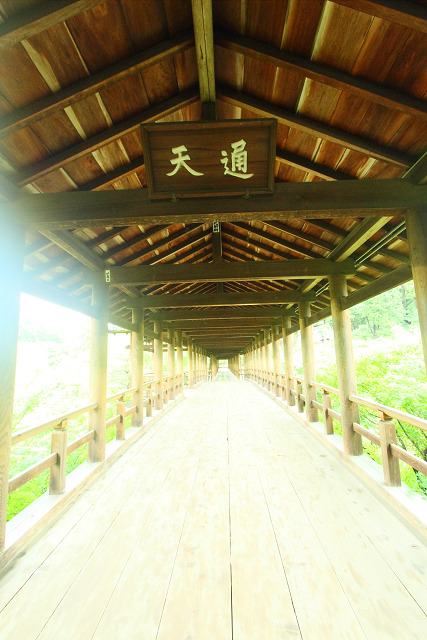 雨の東福寺・通天橋（後編）_b0169330_0164414.jpg