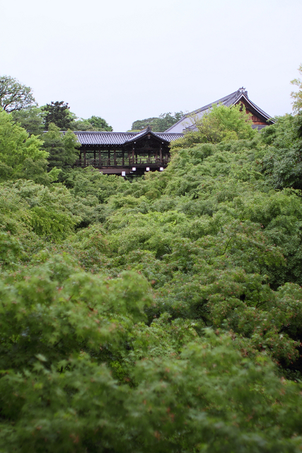 雨の東福寺・通天橋（後編）_b0169330_0233937.jpg