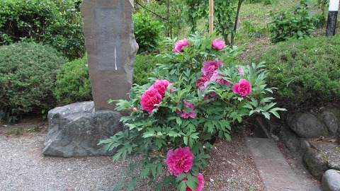 e0202031_20532665.jpg