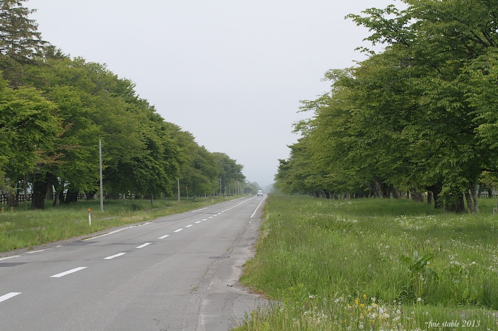 c0240132_5533166.jpg