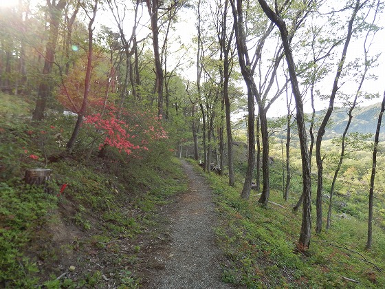 ２０１３・５・９宝珠温泉から宝珠山～大蛇山（７９９）_f0003138_12435934.jpg