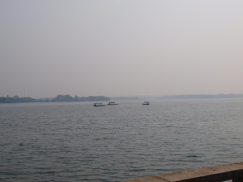 d0038545_8315661.jpg