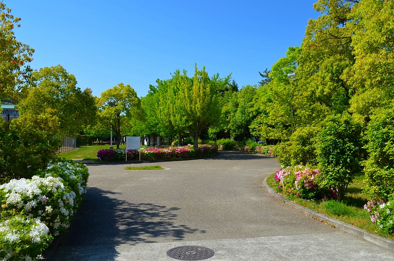 新緑の「岡崎公園と平安神宮」_e0237645_20135866.jpg