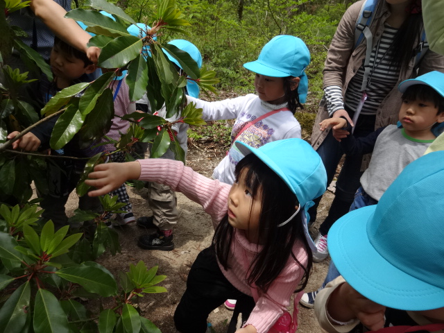 夢の森公園へ_d0166047_9155959.jpg