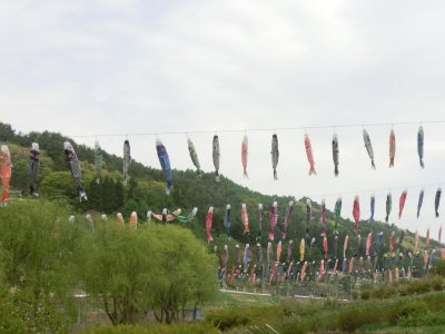 きよさと湖と花の森公園_f0019247_0331575.jpg