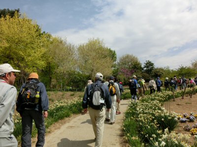 きよさと湖と花の森公園_f0019247_0334720.jpg