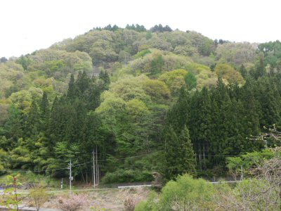 きよさと湖と花の森公園_f0019247_0445810.jpg