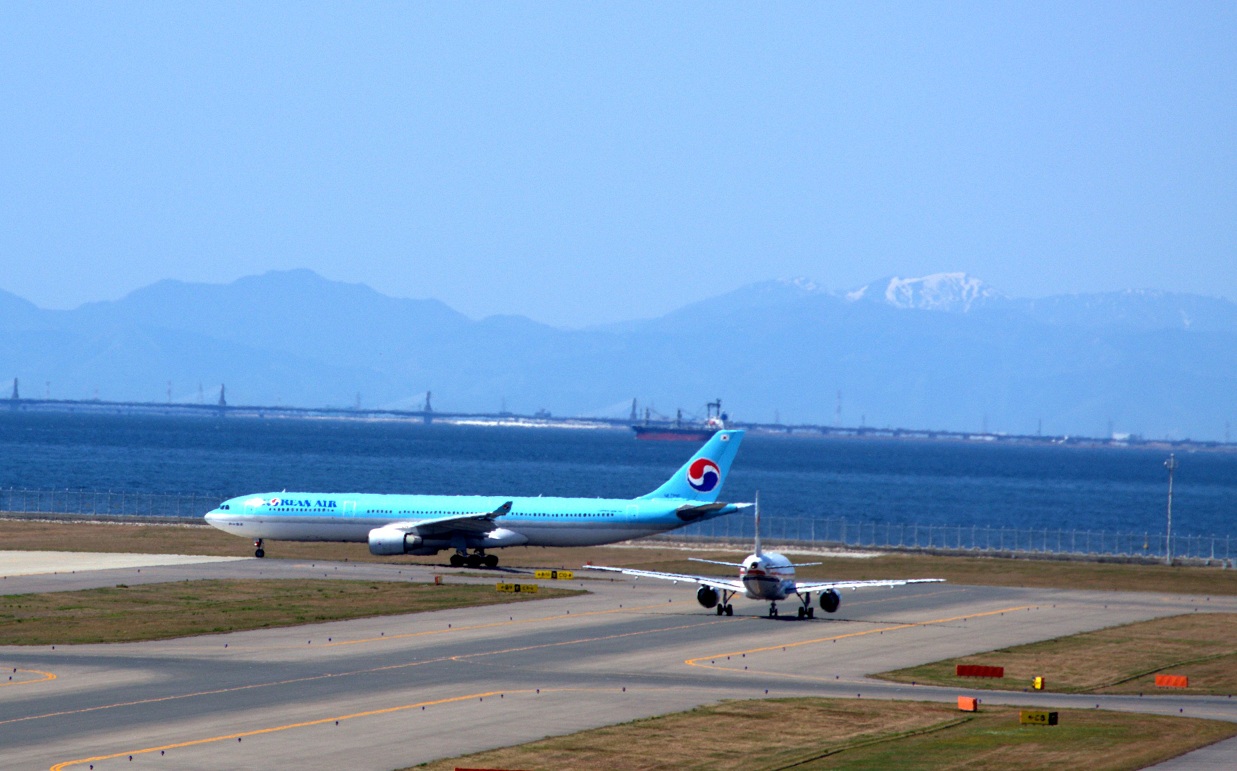 a0055650_8231675.jpg