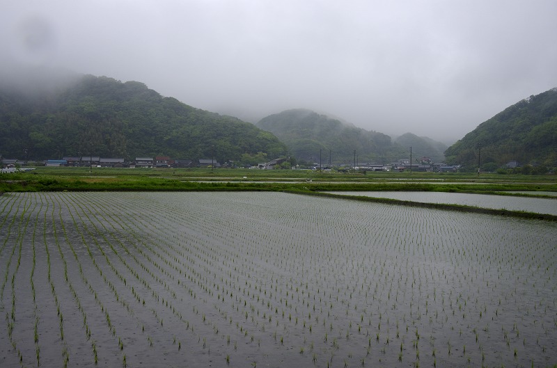 雨の一日_c0238352_1748599.jpg