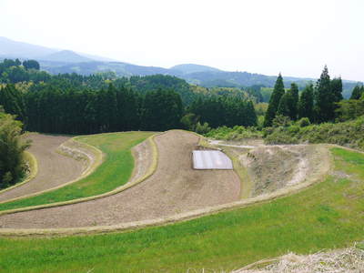 菊池水源棚田米 苗床ばしたばい!!_a0254656_1736370.jpg