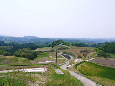 菊池水源棚田米 苗床ばしたばい!!_a0254656_18202954.jpg
