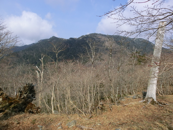 b0276758_16222485.jpg