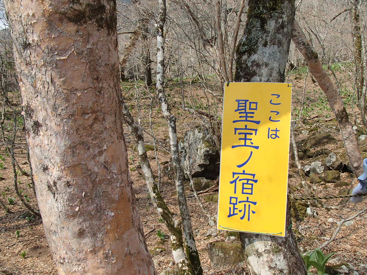b0276758_1626737.jpg