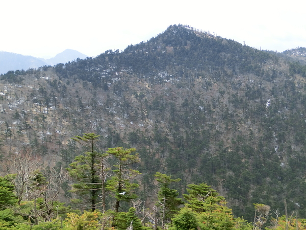 b0276758_16572926.jpg
