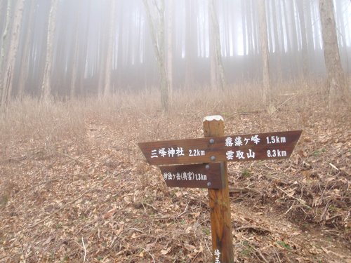 2012年GW前半　雲取山　その２_d0083859_1350041.jpg