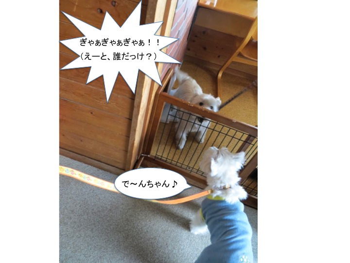 初体験!です。_c0260460_16525659.jpg