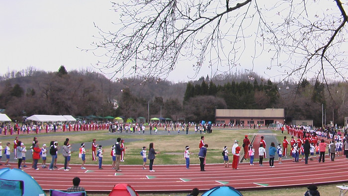 桜の下で運動会_b0208961_14384566.jpg