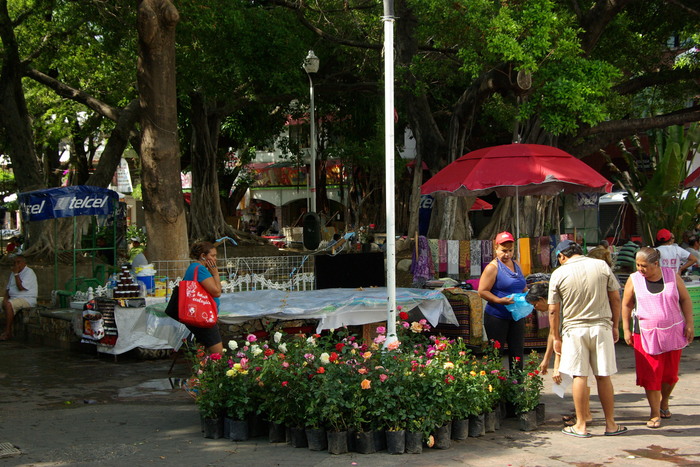 アカプルコ-2 街を歩く：ソカロ　　Acapulco, Mexico-2 City Walks：Zocalo_e0140365_22383468.jpg