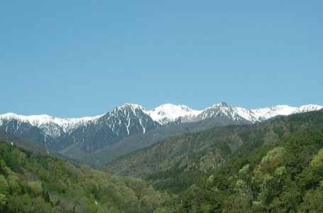 d0152869_10294445.gif