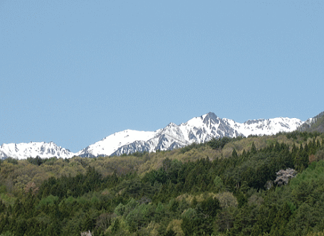 d0152869_10304435.gif